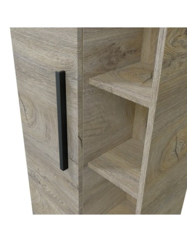 ATENEA Columna colgar 1p + Estantes ROBLE ALASKA